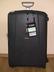 20081102_PDC_Suitcase